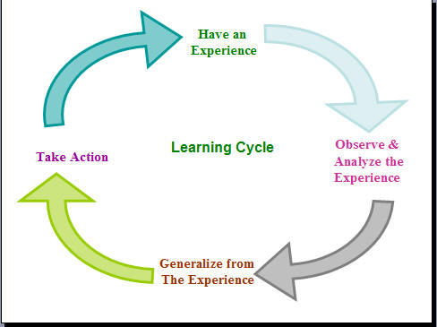 David Kolb Learning Cycle