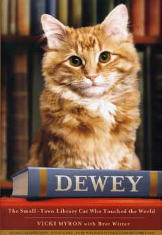 Dewey The Library Cat