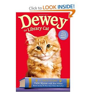 Dewey The Library Cat Summary