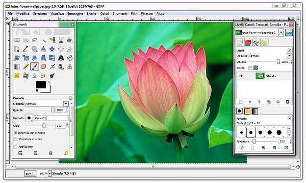 Editing Pictures Free Download