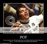 Funny Smoking Weed Quotes And Sayings
