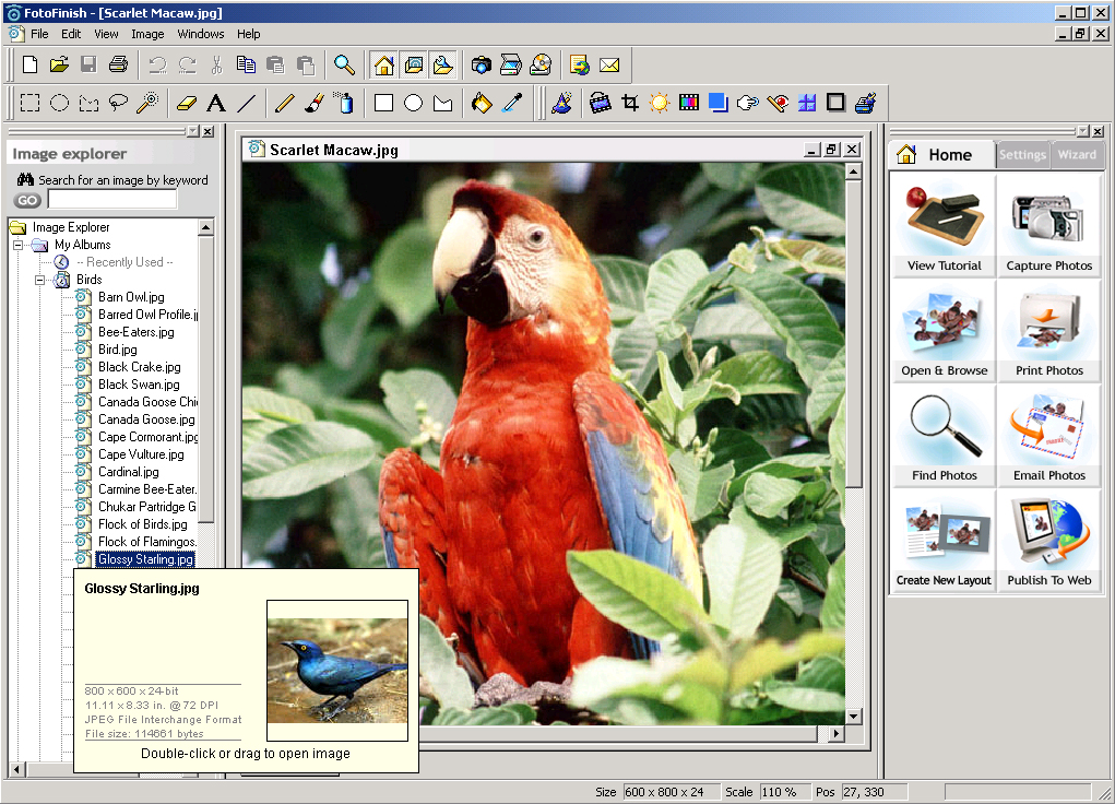 Photo Editing Software Download