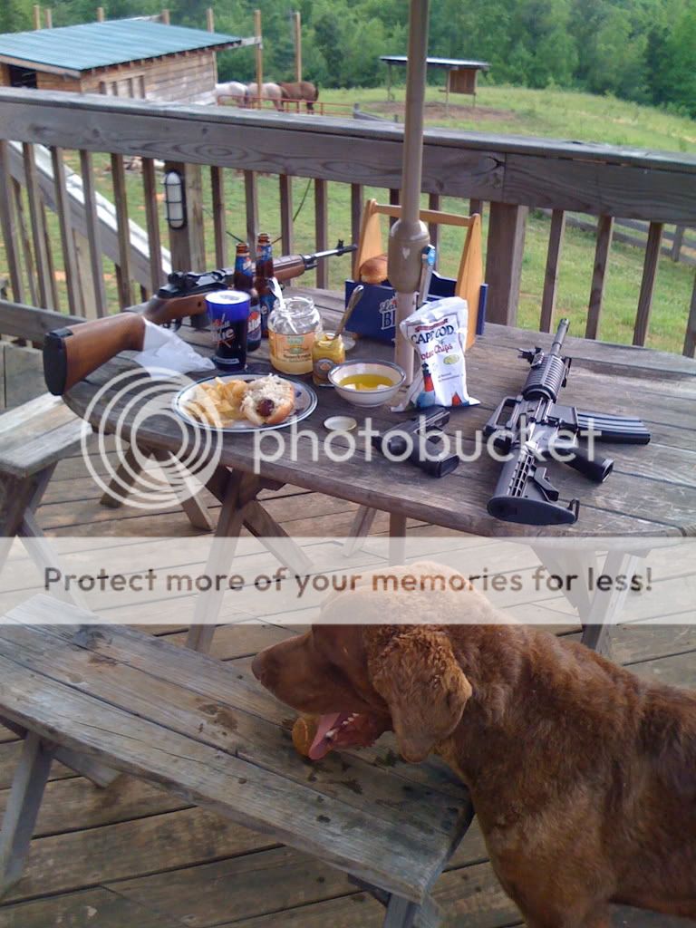 Redneck Hunting Dogs Pictures