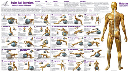 Swiss Ball Exercises For Core Strength