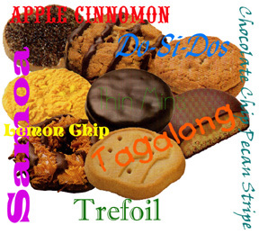 Tagalong Cookies Girl Scout