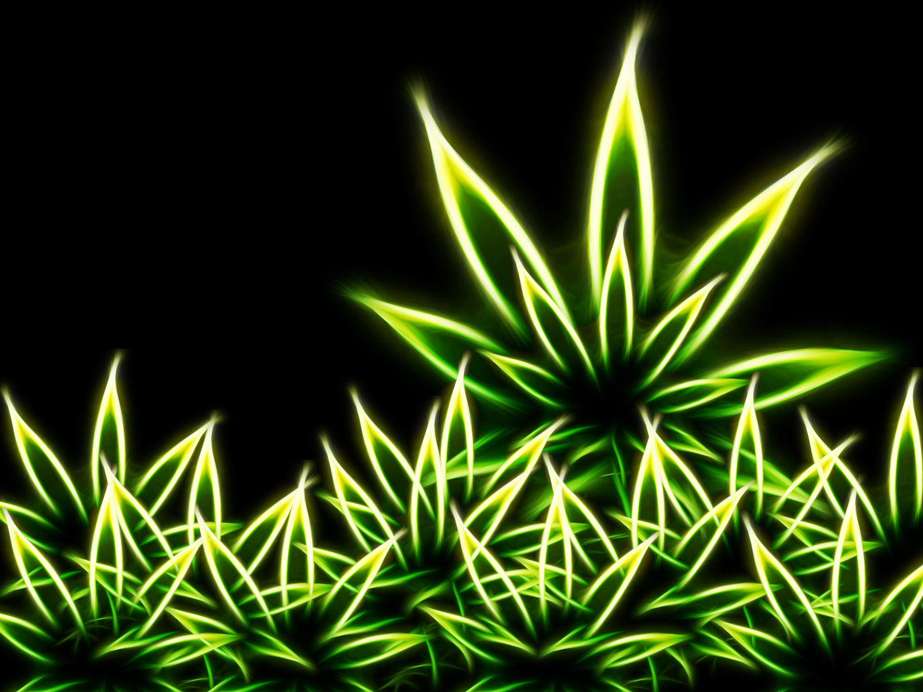 Wallpapers Of Weed Smokers