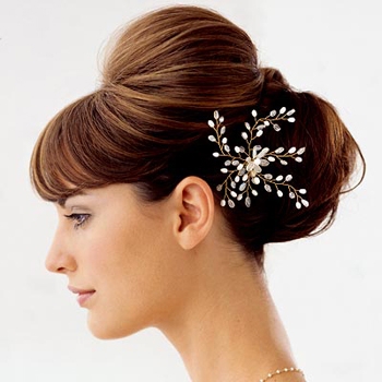 Wedding Hairstyles Updos With Veil And Tiara