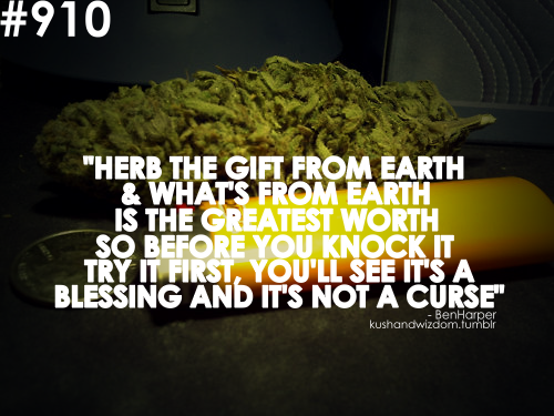 Weed Quotes Tumblr