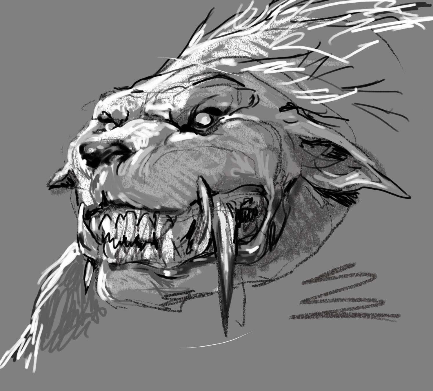 Werewolf Face Drawing