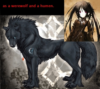 White Werewolf Anime